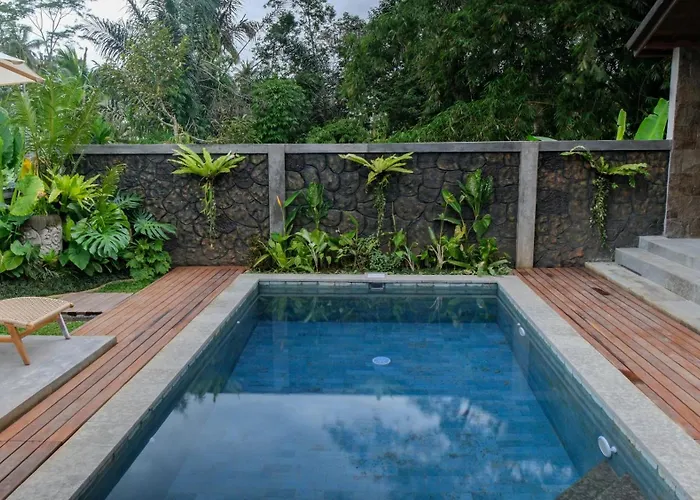 Sanis House
